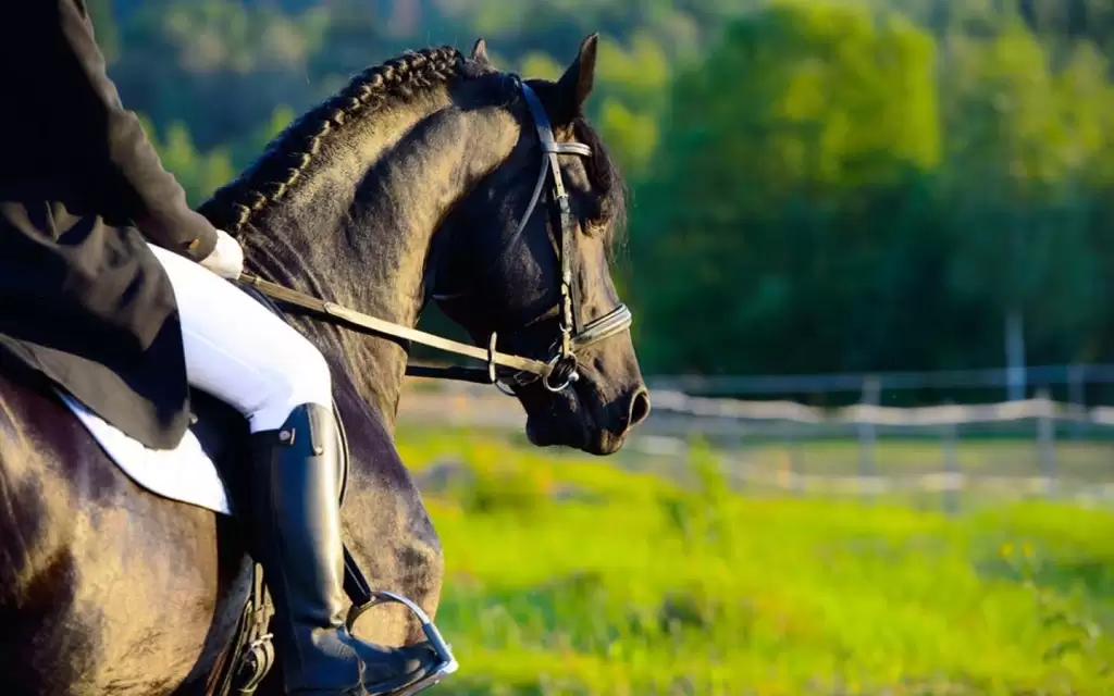 جولة ركوب الخيل (مرمريس)